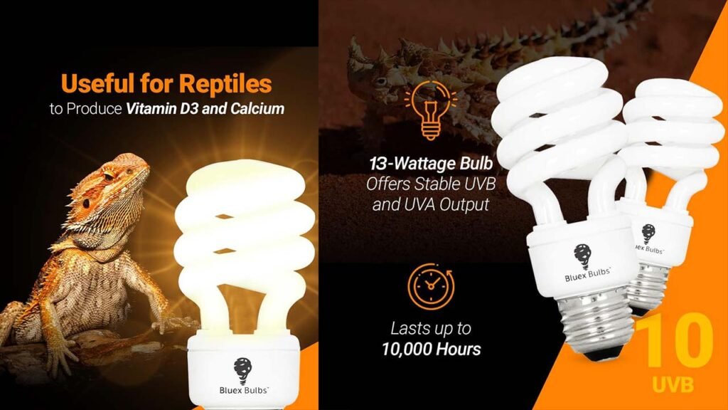 UVB reptile light 10.0 - The Essential Guide to 13-Watt UVB reptile light 10.0 Bulbs: UVA UVB Lighting for Desert Reptiles - Bluex Bulbs UVB reptile light 10.0 - Bluex Bulbs