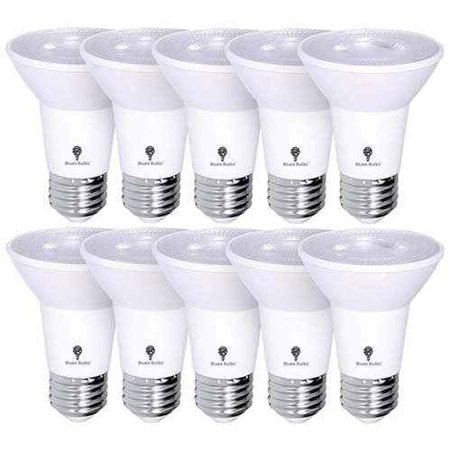 Outdoor LED Flood Light Bulb 8W