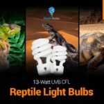 The Essential Guide to 13-Watt UVB reptile light 10.0 Bulbs UVA UVB Lighting for Desert Reptiles