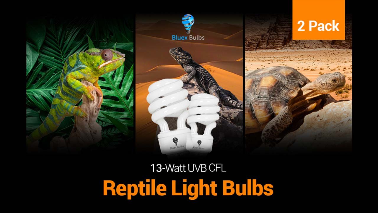 The Essential Guide to 13-Watt UVB reptile light 10.0 Bulbs UVA UVB Lighting for Desert Reptiles