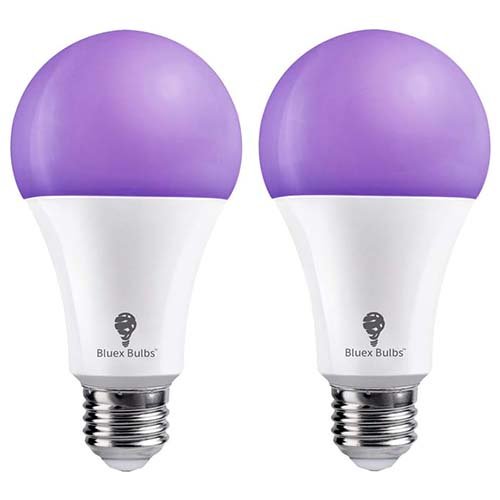 A21 LED Black Light Bulb