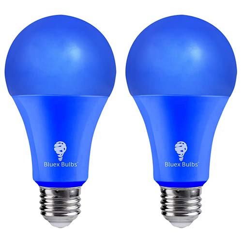 BlueX Bulbs A21 Blue LED Light Bulbs – 15W