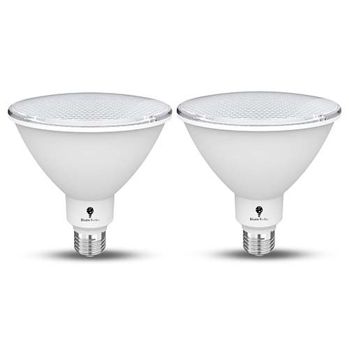 BlueX Bulbs PAR38 High Power LED Flood Light Bulbs – 20W