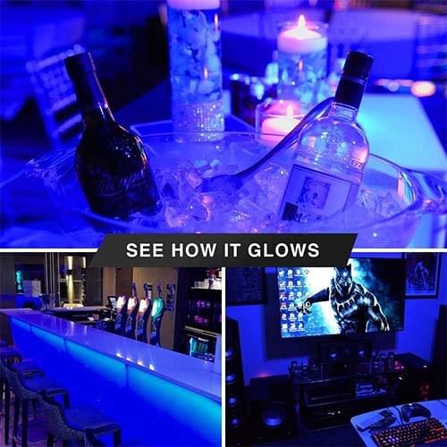 Best UV Black Light Bulbs