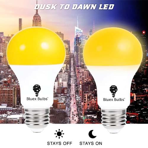 - Bluex Bulbs