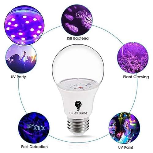 LED UV Black Light Bulbs