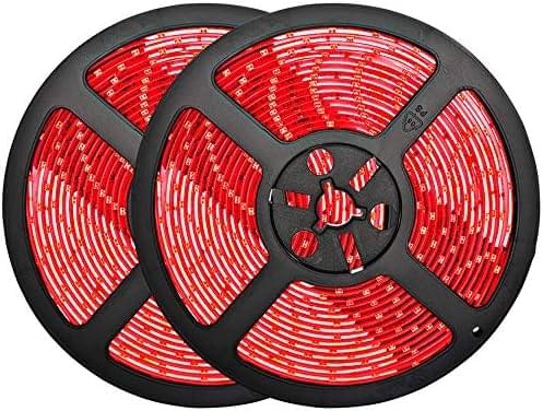 61pcgZXXs6L._AC_.jpg - Bluex Bulbs